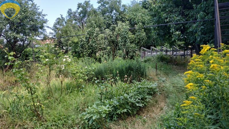 продажа дома номер H-174725 в Киевском районе, фото номер 5